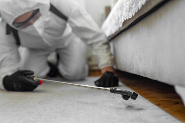 Professional Mosquito Control technician working in Spring Valley, MN