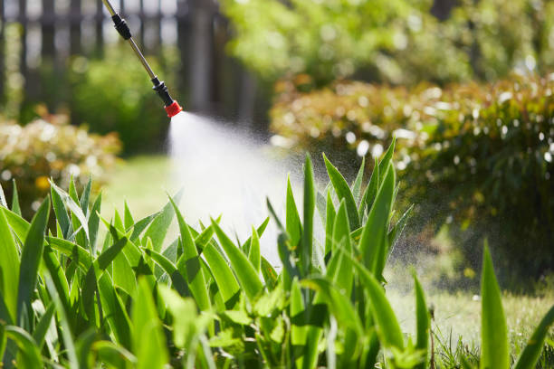 24/7 Emergency Mosquito Control experts in Spring Valley, MN